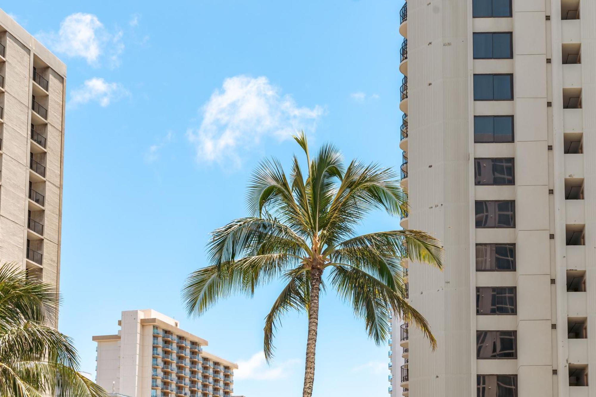 Waikiki Escapade Mountain Views Condo, Steps To Beach With Parking Perk Honolulu Dış mekan fotoğraf